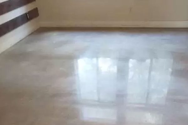 austin-decorative-concrete-solutions-stained-concrete-driveway-austin-tx